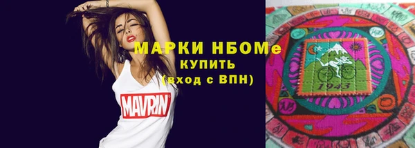 мдпв Абаза