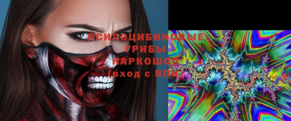 мдпв Абаза